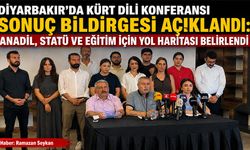 Diyarbakır'da Kürt Dili Konferansı Sonuç Bildirgesi Açıklandı
