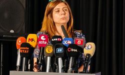 Türkiye'de Toplumsal Barış Süreci ve Dünya Örnekleri Konferansı Diyarbakır'da Başladı