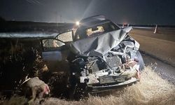 Otomobilin koyun sürüsüne çarptığı kazada 3 kişi yaralandı