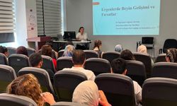 Ergenlik, Beyin Gelişimi İçin Önemli Bir Fırsat Dönemi