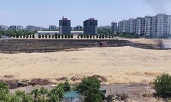 Diyarbakır'da Boş Arazide Anız Yangını: İtfaiye Müdahale Etti