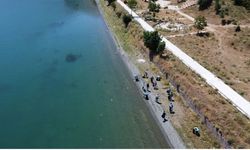 Denetimli Serbestlik Yükümlüleri Hazar Gölü Sahillerini Temizliyor