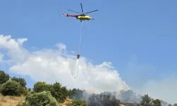 Orman yangınlarına ilişkin soruşturmalarda 12 şüpheli tutuklandı