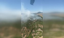 Karakoçan'da ormanlık alanda çıkan yangın söndürüldü