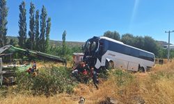 Diyarbakır’da Otobüs Ağaca Çarptı: 2 Kişi Yaralandı