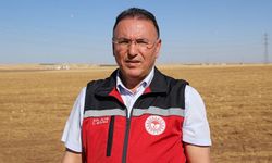 Güneydoğu'da anız yangınlarıyla mücadele sonuç veriyor