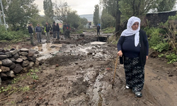 Sağanak ve dolu Ardahan’da bazı köy ve mahallelerde hasara neden oldu