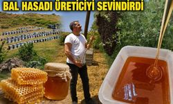 Kulp'ta Bal Hasadı Üreticiyi Sevindirdi: Verim Yüzde 50 Arttı