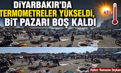 Diyarbakır’da termometreler yükseldi, Bit Pazarı boş kaldı