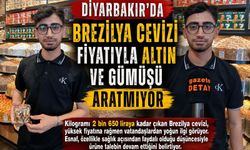 Diyarbakır’da Brezilya cevizi fiyatıyla altın ve gümüşü aratmıyor