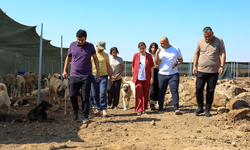 Bucak, Doğal Yaşam Alanı’ndaki Çalışmaları Yerinde İnceledi
