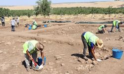 Çin'in Türkiye'deki ilk kazı projesi Şanlıurfa'daki Yoğunburç'ta yürütülüyor