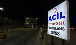 Eşini çocuğu kucağındayken vurdu
