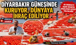 Diyarbakır Güneşinde Kuruyor, Dünyaya İhraç Ediliyor