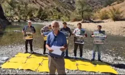 Birsu HES Projesinde Çarpıcı Bilirkişi Raporu: “ÇED Kararı Yeterli Bilimsel Temele Dayanmıyor”