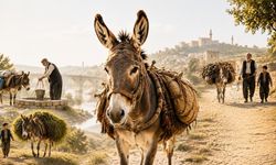 Diyarbakır’da  Kırsal Yaşamın Yükünü Taşıyorlar!