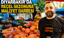 Diyarbakır’da Reçel Sezonuna Maliyet Darbesi