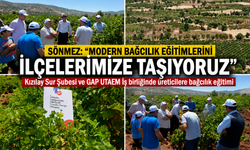 Diyarbakır’da Bağcılık Eğitimleri İlçelere Taşınıyor