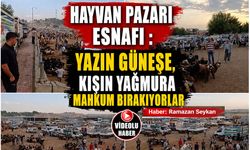Hayvan Pazarı Esnafı : Yazın Güneşe, Kışın Yağmura mahkum bırakıyorlar