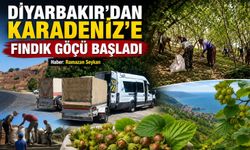 Diyarbakır'dan Karadeniz'e Fındık Göçü Başladı