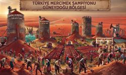 Kırmızı mercimekte üretimin beş büyük merkezi Güneydoğu’dan