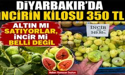 Diyarbakır’da incirin kilosu 350 TL