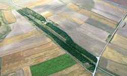 57 yıl önce ağaçlandırılan tren istasyonu, yeşil dokusuyla dikkati çekiyor