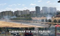Kayapınar’da Anız Yangını: Alevler Çevreye Yayılmadan Söndürüldü