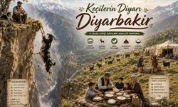 Diyarbakır Dağlarının “Kınalı Gelinleri” Hâlâ Zirvede: Keçi Sayısı 395 Bini Aştı