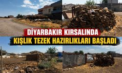 Diyarbakır Kırsalında Kışlık Tezek Hazırlıkları Başladı