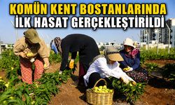 Komün Kent Bostanlarında ilk hasat gerçekleştirildi