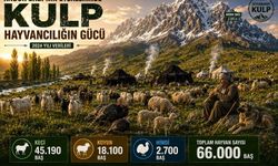 Kulp'ta Hayvancılık Rakamlarla Değerlendirdi