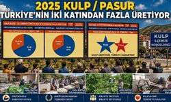 Dünya Klasığı Bir Hikâye: Kulp’ta İpekböcekçiliği ve Koza Üretimi