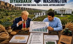 Büyük Analitik Hikâye: Washington ve Diyarbakır’ın Buğday Üretim Serüveni