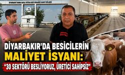 Diyarbakır’da Besicilerin Maliyet İsyanı: “30 Sektörü Besliyoruz, Üretici Sahipsiz”