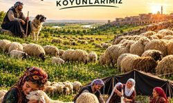 Diyarbakır Ovalarında Sessiz Rekor: Koyun Sayısı 2 Milyona Yaklaştı