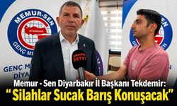 Memur Sen Diyarbakır İl Başkanı Tekdemir:"Silahlar Susacak Barış Konuşacak"