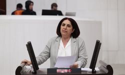Narin Güran davası için Meclis’te yeni araştırma talebi