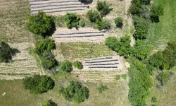 OGM’den Orman Köylülerine 3,3 Milyar Liralık Destek Paketi