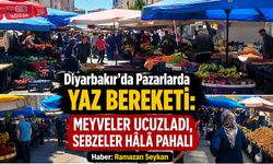 Pazarlarda Yaz Bereketi devam ediyor : Meyveler Ucuzladı, Sebzeler Hâlâ Pahalı
