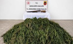 Şanlıurfa'da uyuşturucu operasyonunda 1 şüpheli yakalandı