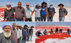 Diyarbakır’da Tarım İşçilerinin Güneşle İmtihanı