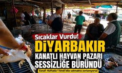 Sıcak Hava Diyarbakır’daki Kanatlı Hayvan Pazarını Vurdu