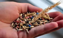 Türk Tohumculuğu Asya ile Avrupa Arasında Gücünü Artırıyor