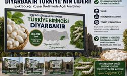 Diyarbakır İpekböcekçiliğinde Türkiye'nin Lokomotifi Oldu