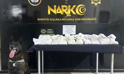Valizlerinde uyuşturucu bulunan yabancı uyruklu tutuklandı