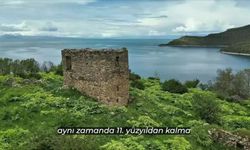 Van Gölü kıyısındaki Deveboynu Yarımadası milli park ilan edildi