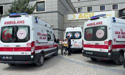 Van gölüne giren 2 kardeş hayatını kaybetti