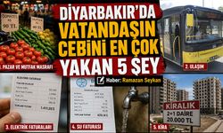 Diyarbakır’da Vatandaşın Cebini En Çok Yakan 5 Şey