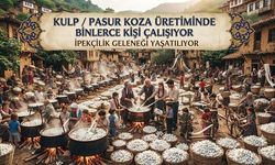Türkiye toplam yaş koza üretiminin yaklaşık yüzde 72’si Kulp’tan